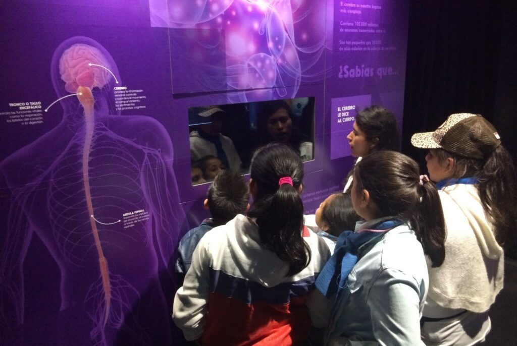 an immersful exhibition with purple lighting